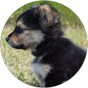 Reita Piecuch profile picture